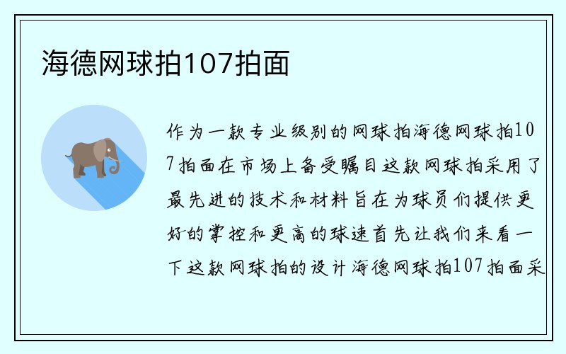 海德网球拍107拍面