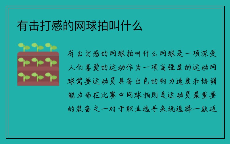 有击打感的网球拍叫什么